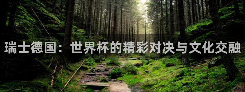2006年世界杯冠军:瑞士德国:世界杯的精彩对决与文化交融