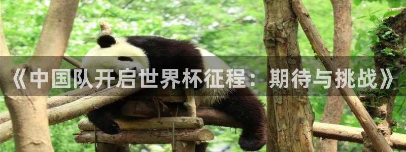 2026年足球世界杯赛程时间表:《中国队开启世界杯征程:期待与挑战》