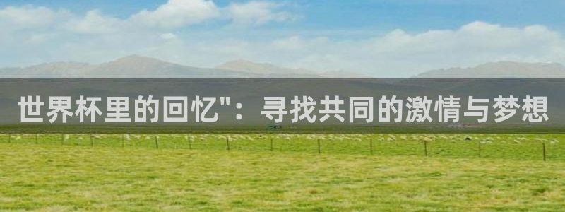 世界杯2026赛程：世界杯里的回忆\