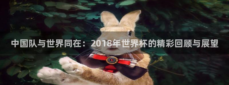 2026年男足世界杯：中国队与世界同在：2018年世界杯的精彩回顾与展望