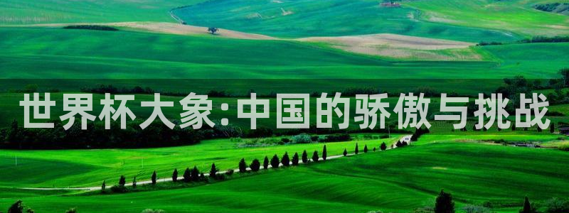 世界杯在线直播：世界杯大象:中国的骄傲与挑战