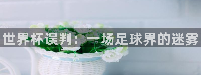 2026世界杯赛：世界杯误判：一场足球界的迷雾