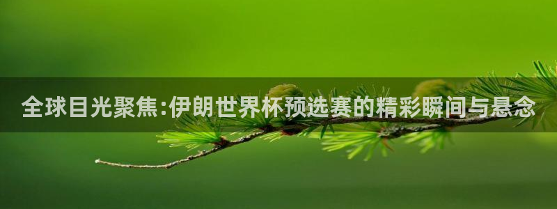 英格兰联赛杯直播：全球目光聚焦:伊朗世界杯预选赛的精彩瞬间与悬念