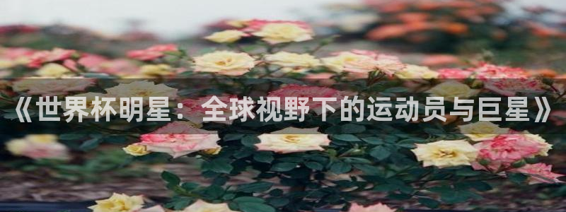 世界杯直播免费观看：《世界杯明星：全球视野下的运动员与巨星》