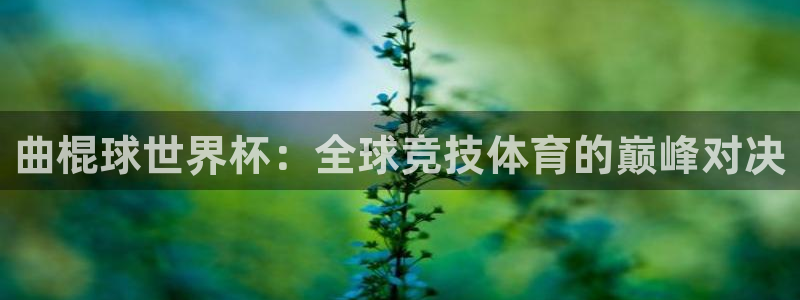 男足世界杯预选赛赛程：曲棍球世界杯：全球竞技体育的巅峰对决