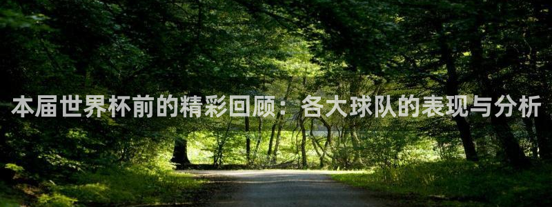 世界杯预选赛直播：本届世界杯前的精彩回顾：各大球队的表现与分析