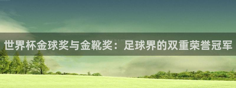 世界杯直播观看：世界杯金球奖与金靴奖：足球界的双重荣誉冠军
