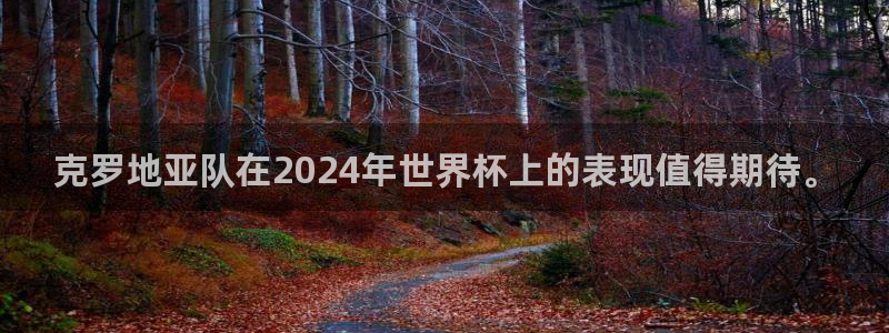 世界杯对阵表：克罗地亚队在2024年世界杯上的表现值得期待。