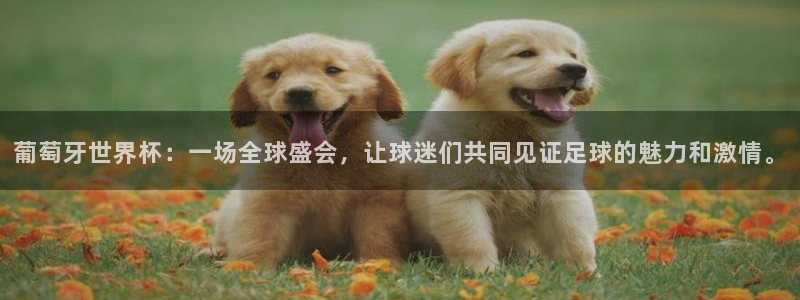 2026足球世界杯赛程时间表：葡萄牙世界杯：一场全球盛会，让球迷们共同见证足球的魅力和激情。